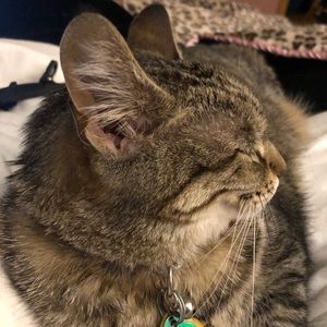 Meet your Posher, Camille